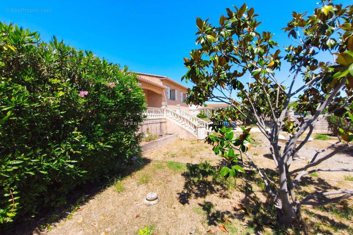 Maison à LE MUY