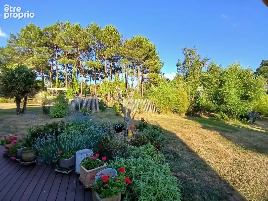 Bulle de nature - photo 4