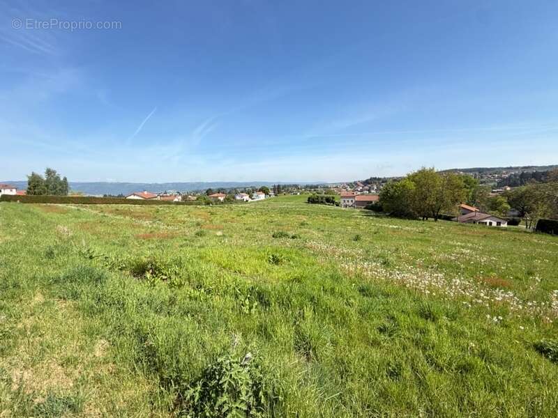 Terrain à MONISTROL-SUR-LOIRE