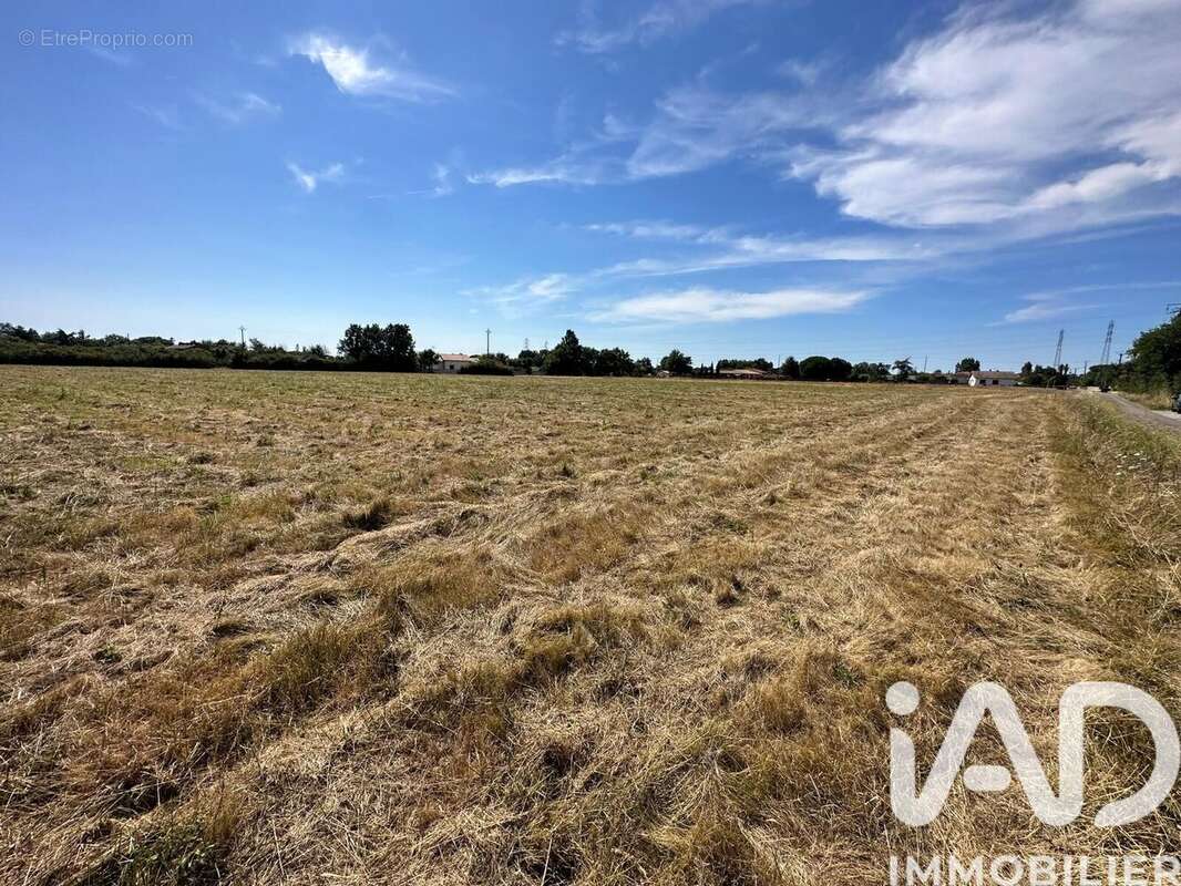 Photo 2 - Terrain à MONTAUBAN