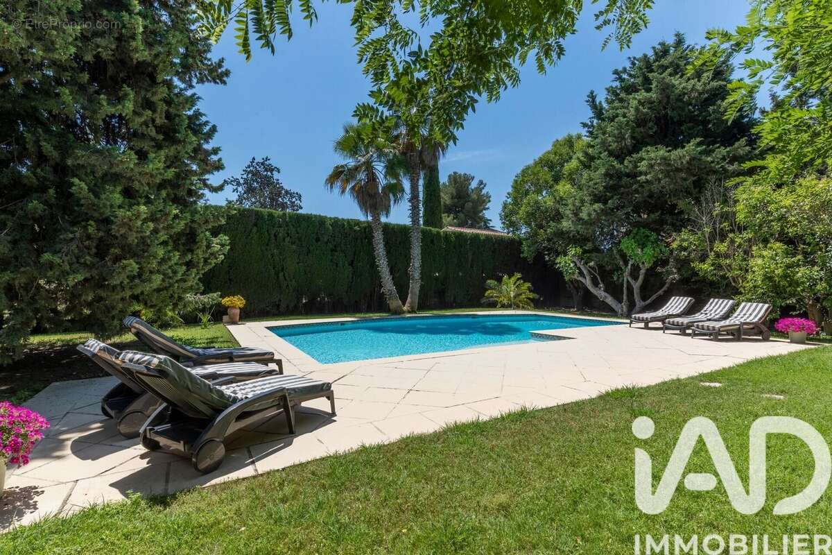 Photo 3 - Maison à MONTPELLIER