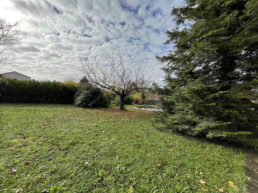 Photo 7 - Maison à CREUZIER-LE-VIEUX