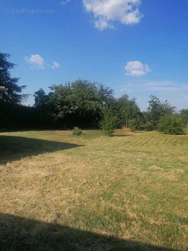 Maison 170 m² à Lisle-Sur-Tarn  - photo 4