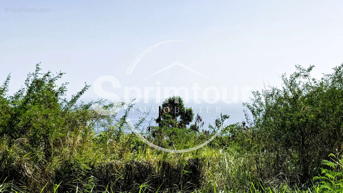Terrain à VIEUX-HABITANTS