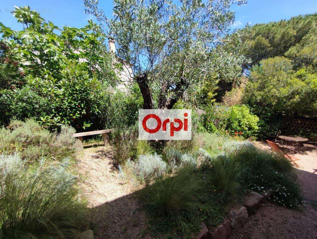 Maison à PORTO-VECCHIO