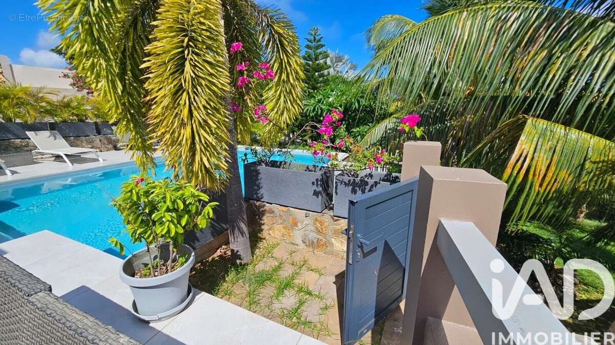 Photo 2 - Maison à SAINT-MARTIN