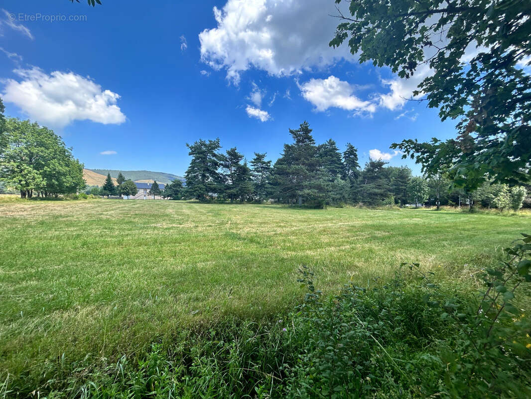 Terrain à SAINT-SAUVEUR-CAMPRIEU