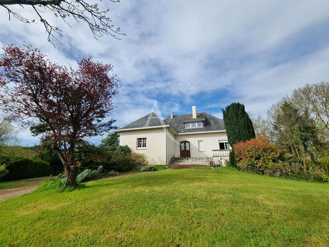 Maison 300 m² à Chalonnes-Sur-Loire  - photo 7