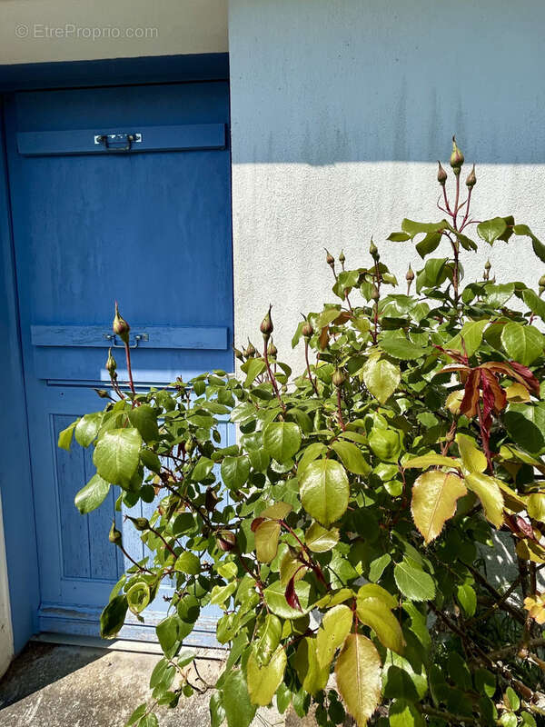 Maison à MOELAN-SUR-MER