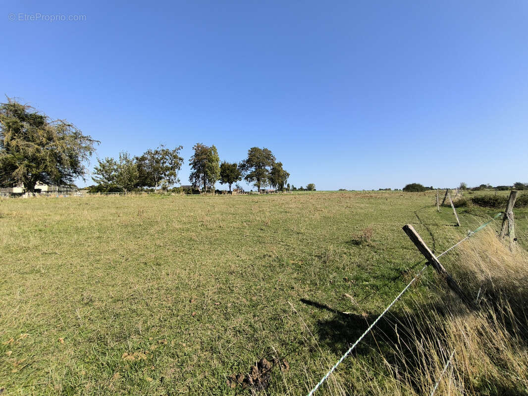 Maison à ARTANNES-SUR-INDRE