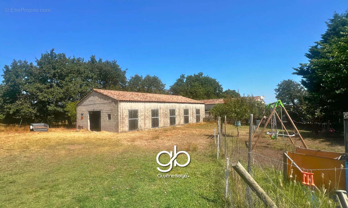 Propriété familiale avec 3 logements indépendants, piscine, installations équestres et hangar à boisseron - photo 5