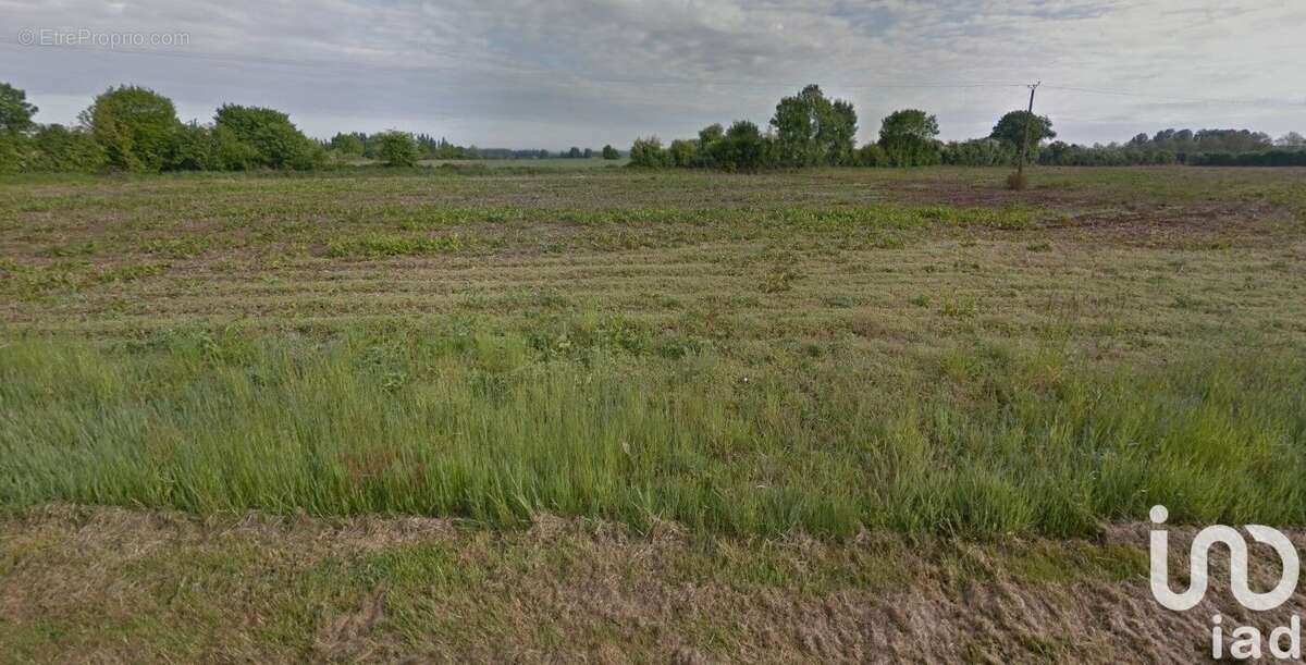 Photo 3 - Terrain à BONNETABLE