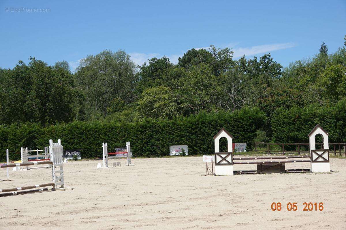 Terrain à LIGNY-LE-RIBAULT