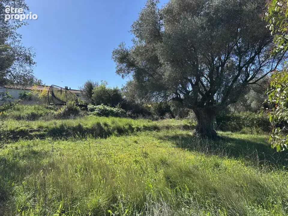 Photo Terrain à Le Castellet au prix de 150 000€