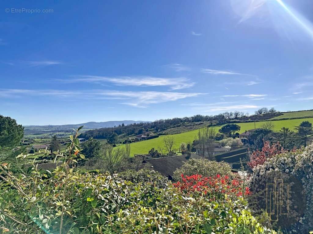 Maison à SAINT-JEAN-DES-VIGNES