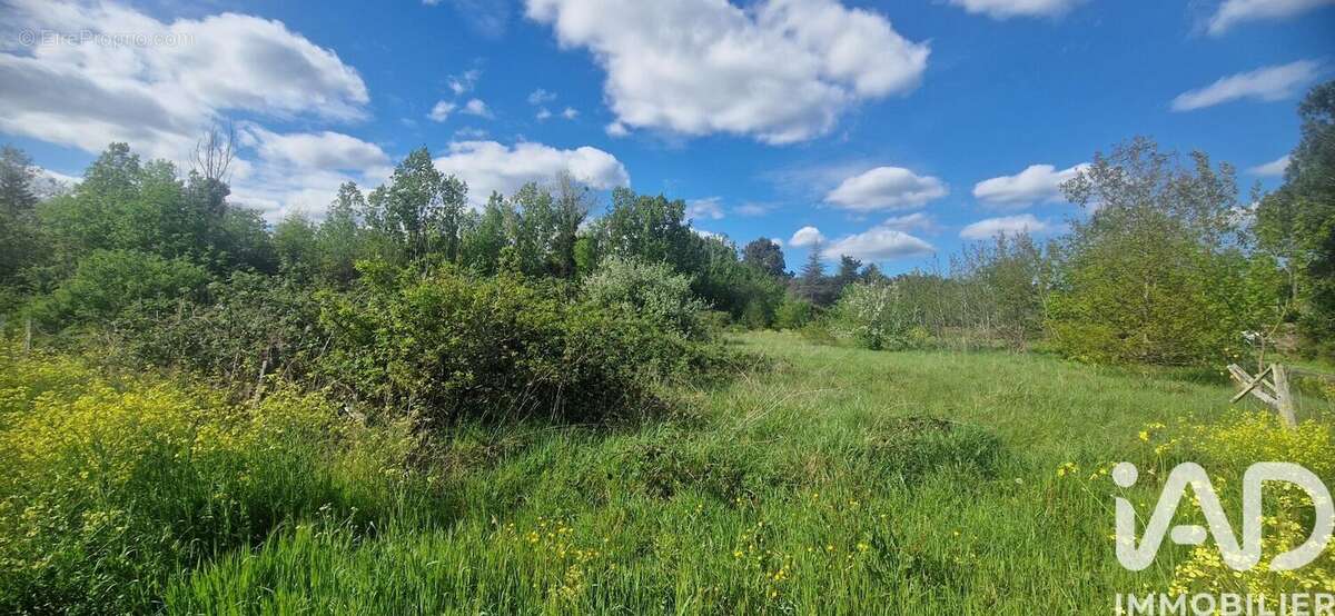 Photo 3 - Terrain à SAINT-LAURENT-DES-HOMMES