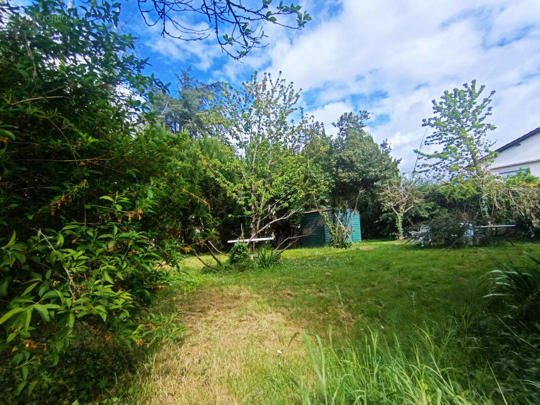 Maison à MONTAYRAL