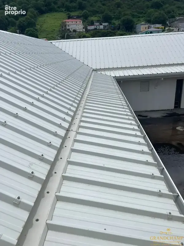 Exclusivité   immeuble à fort potentiel d’investissement   marigot - photo 27