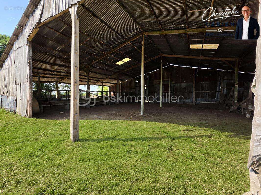 Hangar de 350 m² – terrain de 2 973 m² – zone agricole – fort potentiel - photo 2