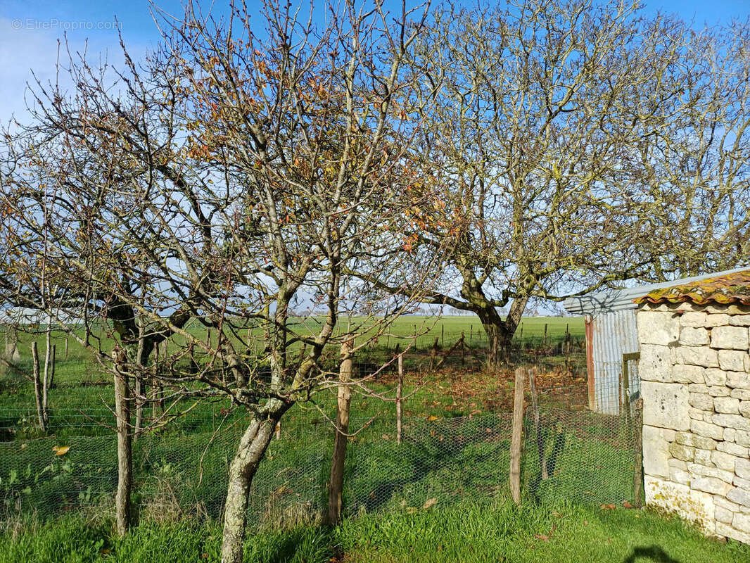 Photo 3 - Terrain à SAINT-MARTIN-DE-FRAIGNEAU