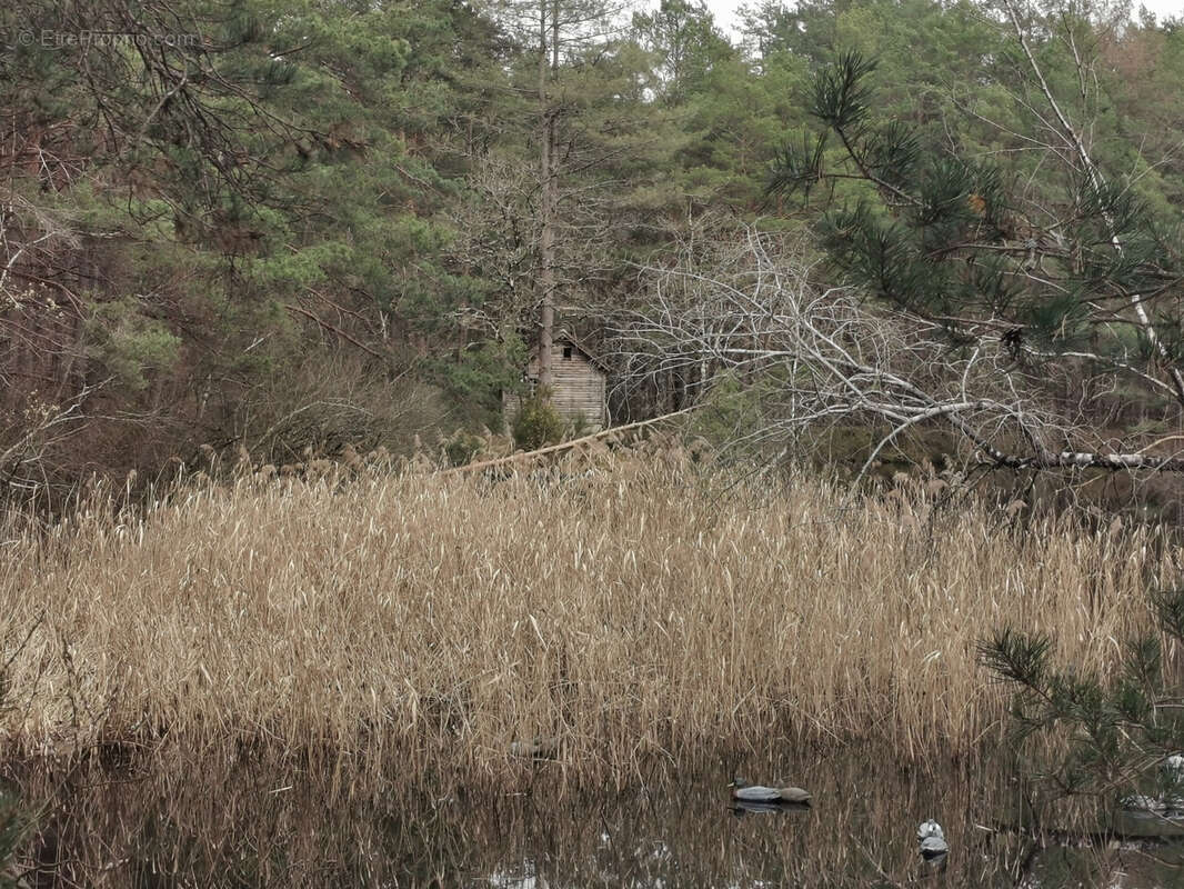 Maison à VILLEFRANCHE-SUR-CHER