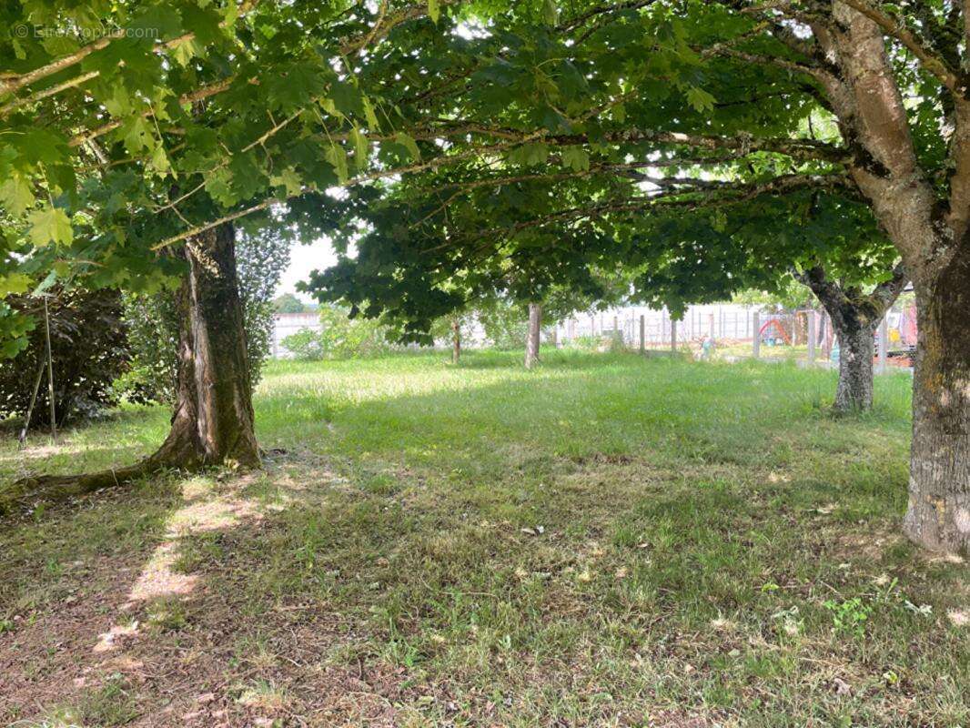 Maison à CHATILLON-SUR-LOIRE