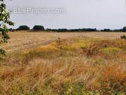 Terrain à MESCHERS-SUR-GIRONDE