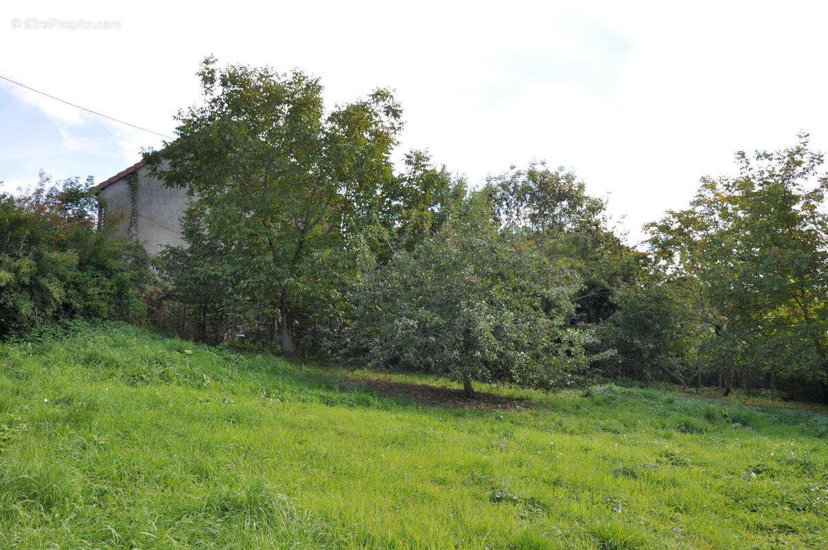 Maison à ARFEUILLES
