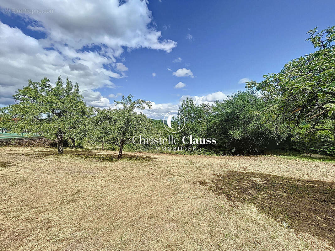 Terrain à GRENDELBRUCH