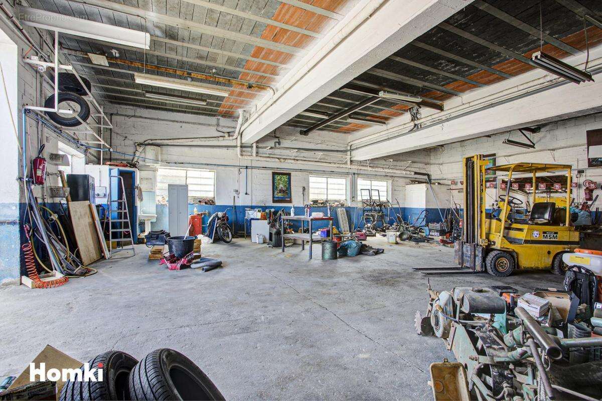Local commercial T6 de 470 m2 à Ille-sur-Têt 66130, Route de Perpignan - photo 9
