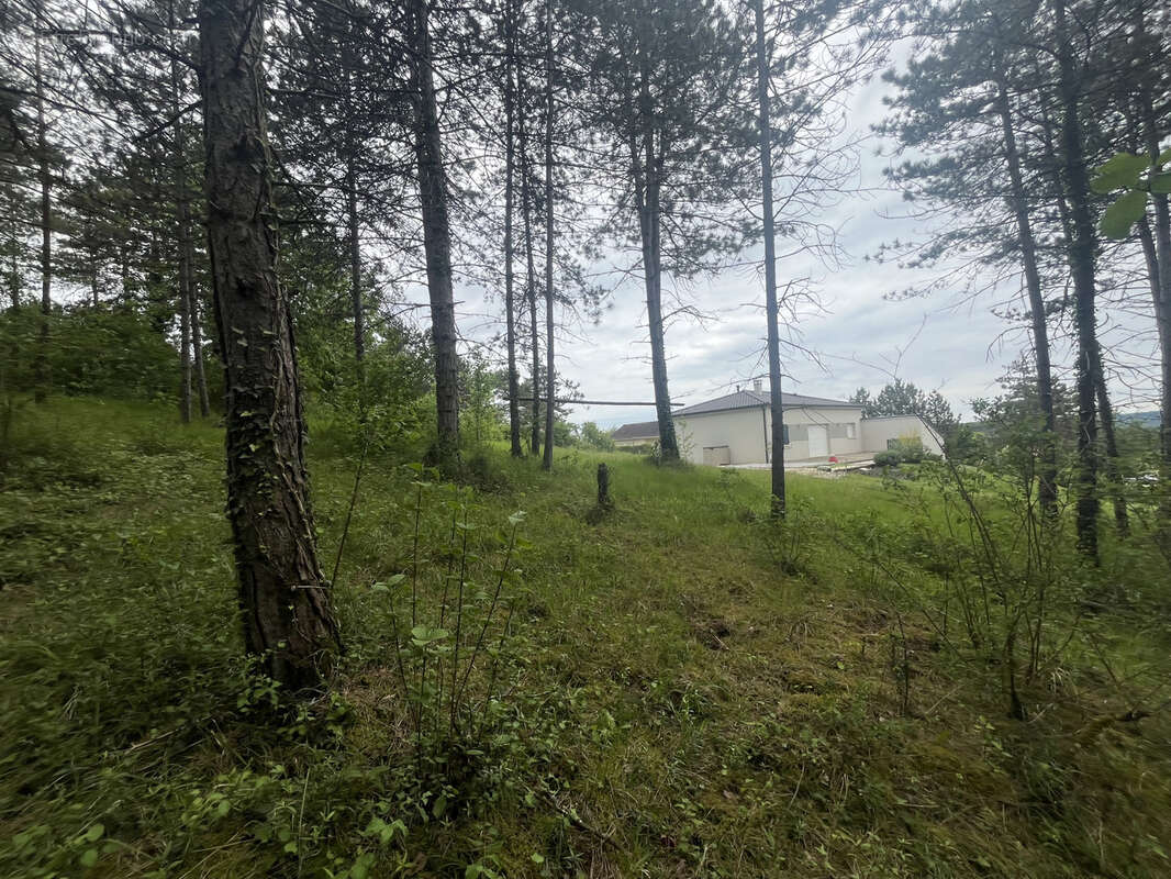 Terrain à BASSILLAC