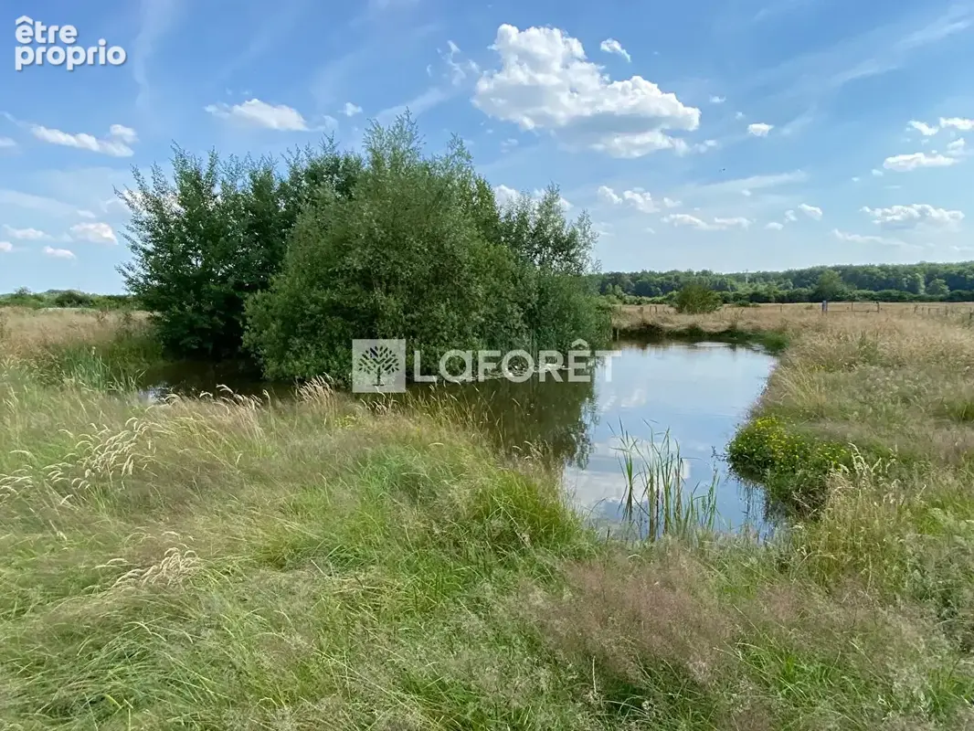 Terrain Villers En Argonne 7350 m2 - photo 6