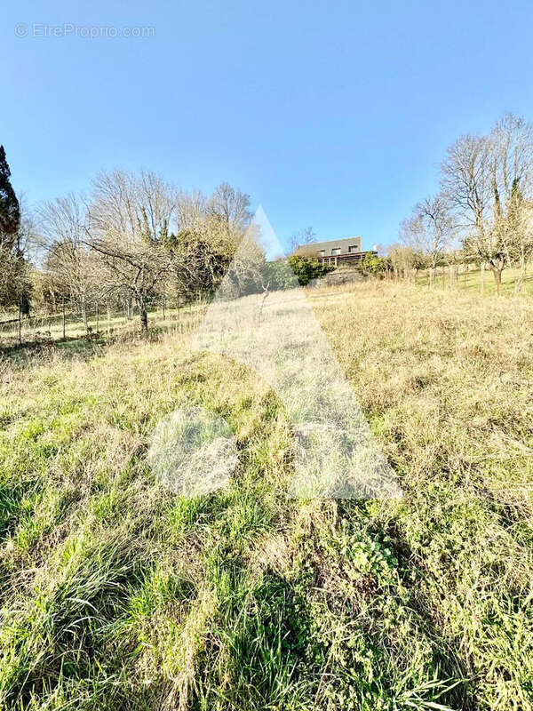 Terrain à NEUFCHATEAU
