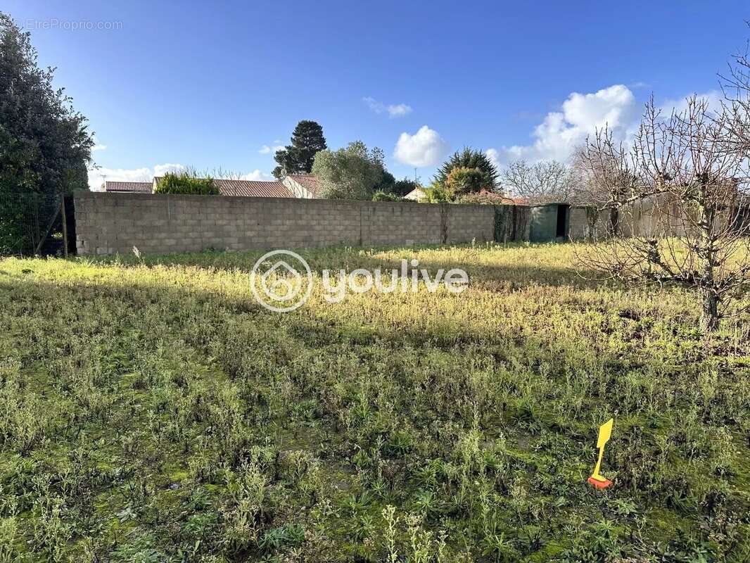 Terrain à L&#039;ILE-D&#039;OLONNE