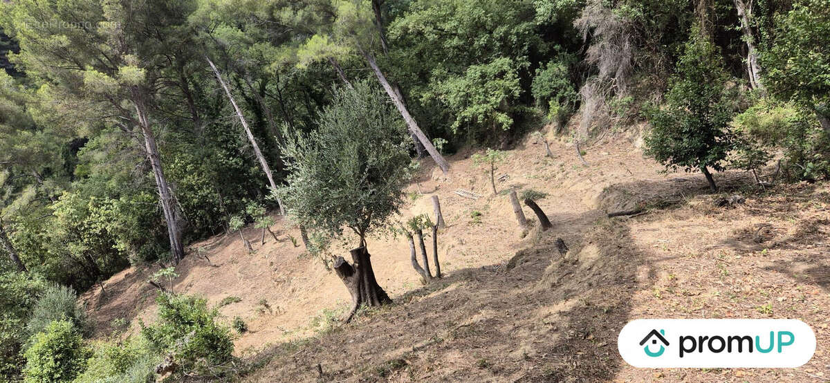 Terrain à GORBIO