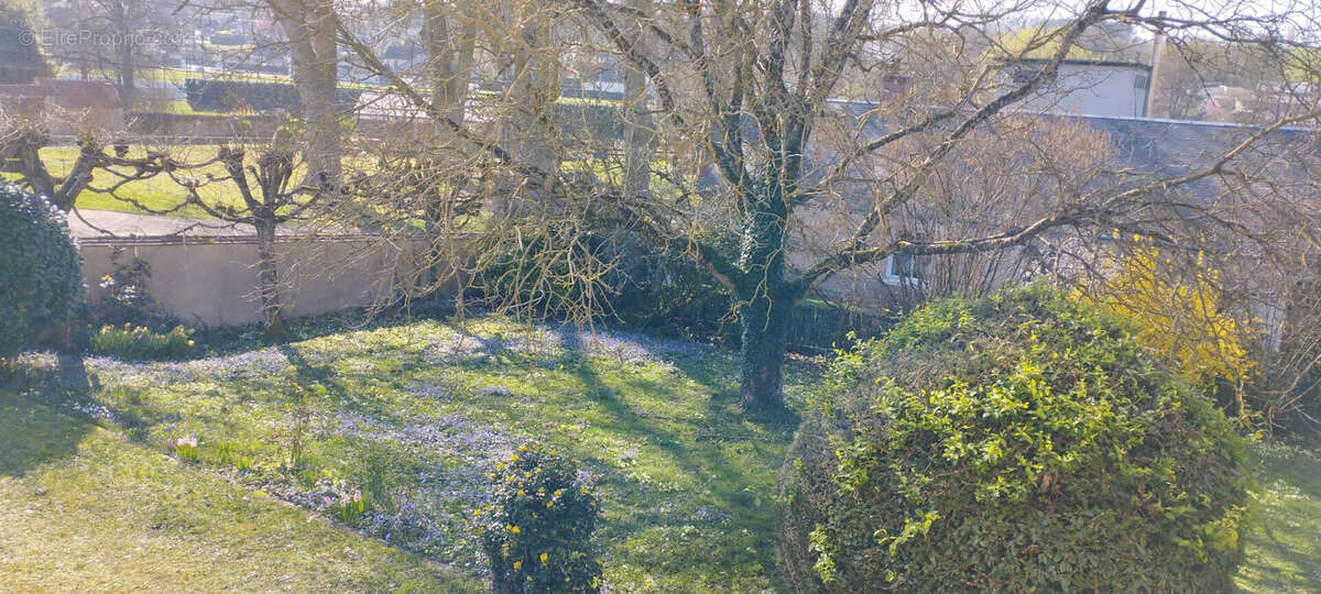 Maison à PREUILLY-SUR-CLAISE