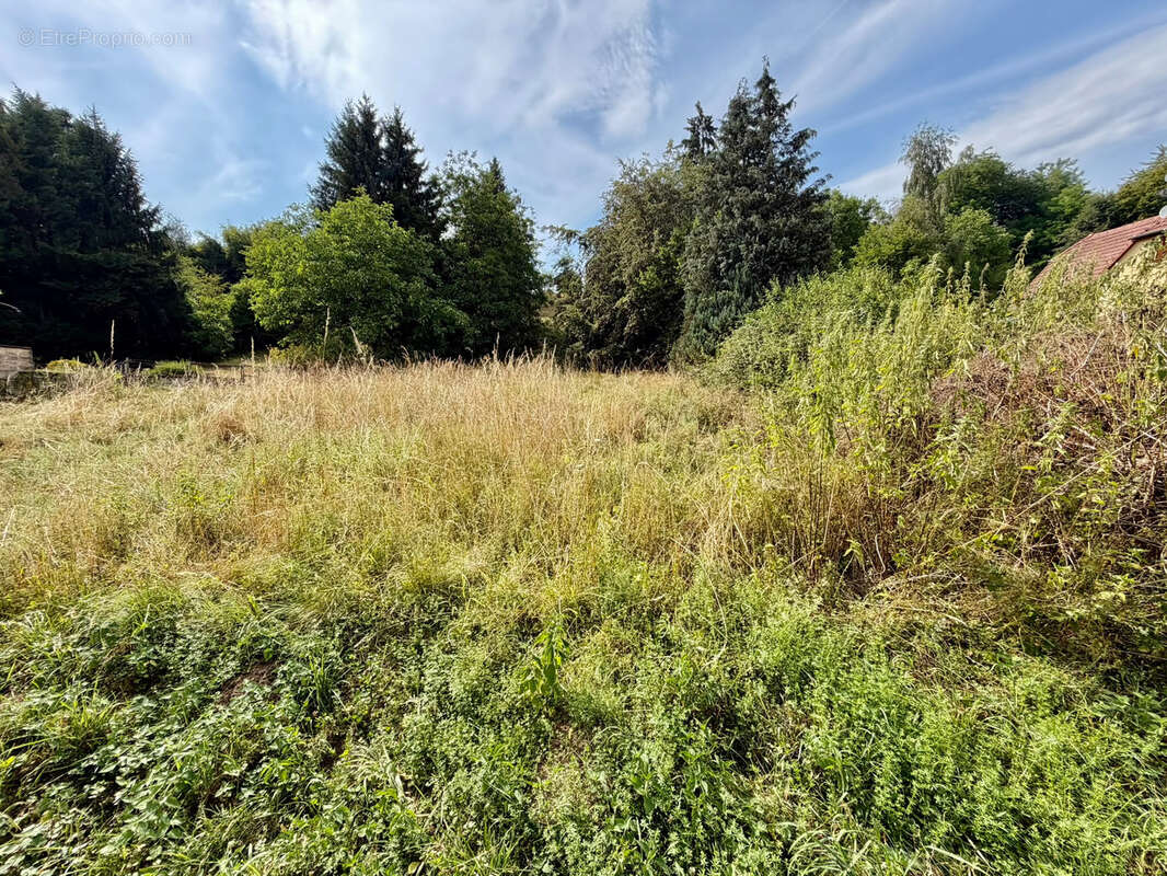 Vente authentique maison Alsacienne à rénover — Proche Suisse et Territoire de Belfort - photo 6