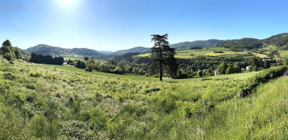 Bourg Argental 42220 parcelles de terrain constructible - photo 2