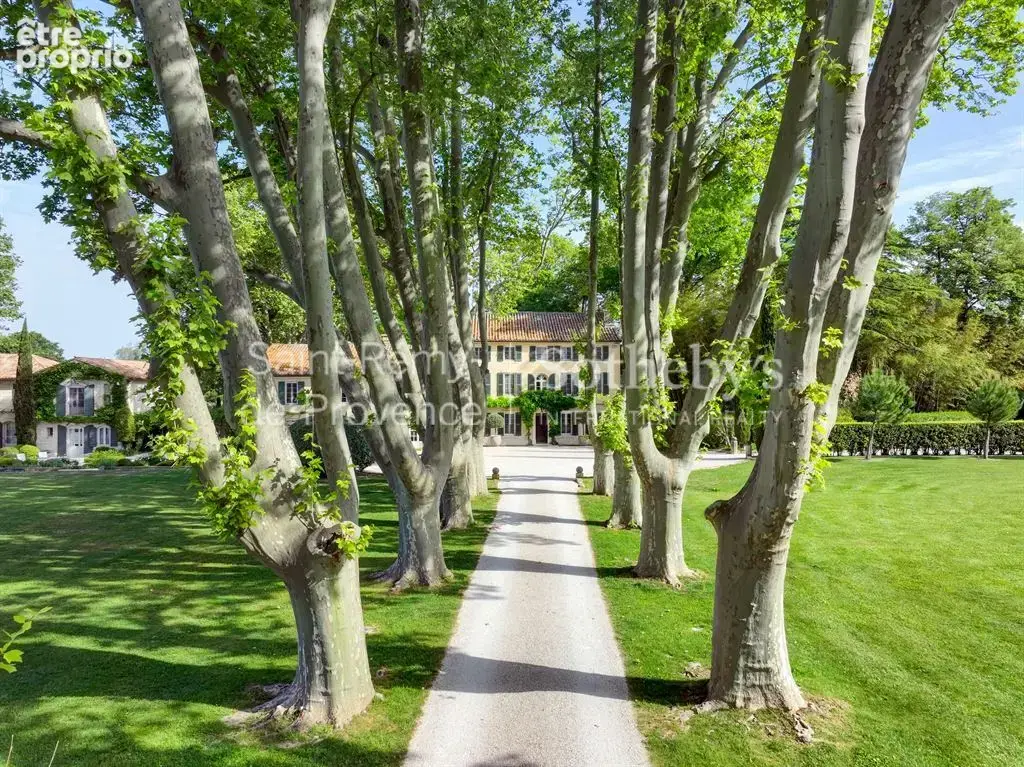 Domaine d'exception à Saint Remy de Provence - photo 3