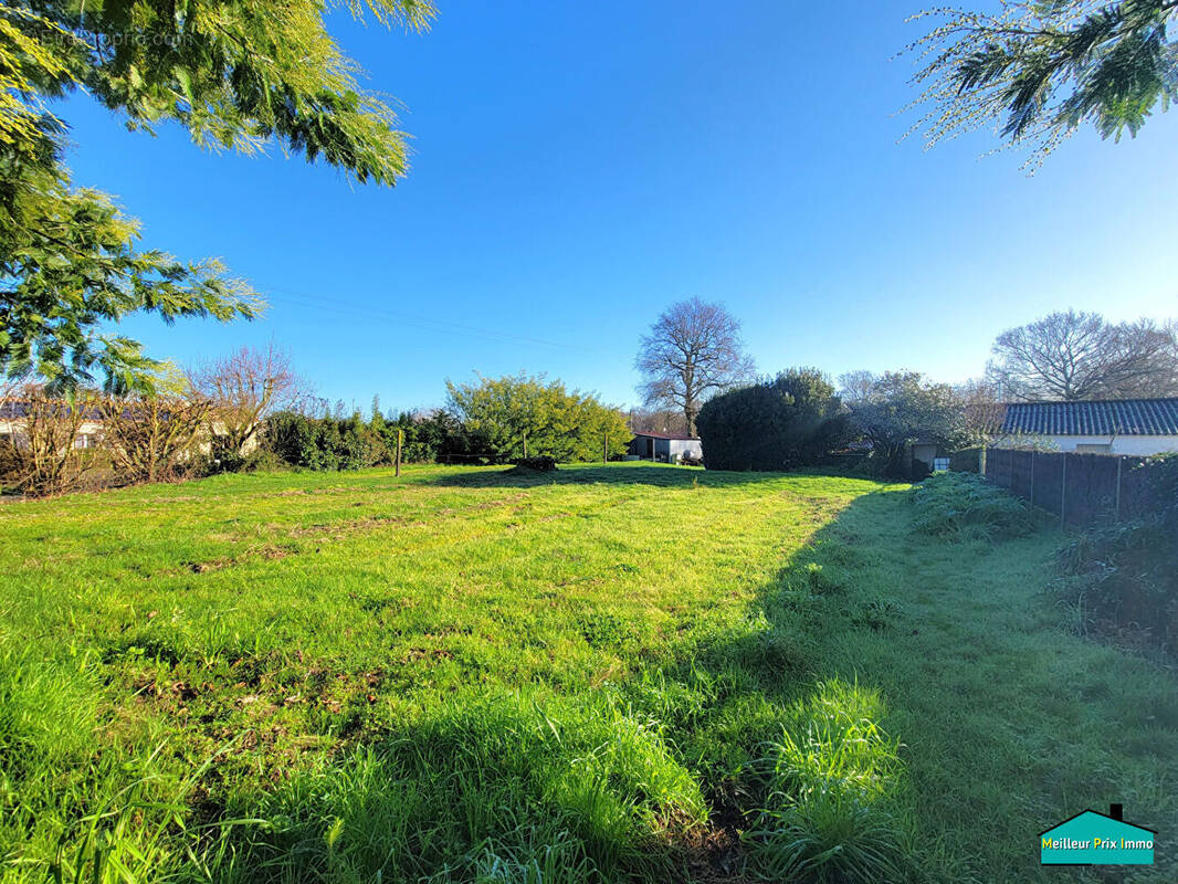 Terrain à MACHECOUL