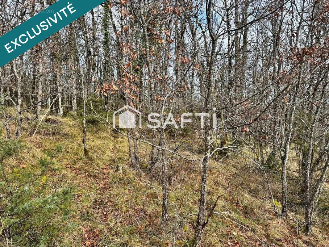 Photo 4 - Terrain à LA ROUQUETTE