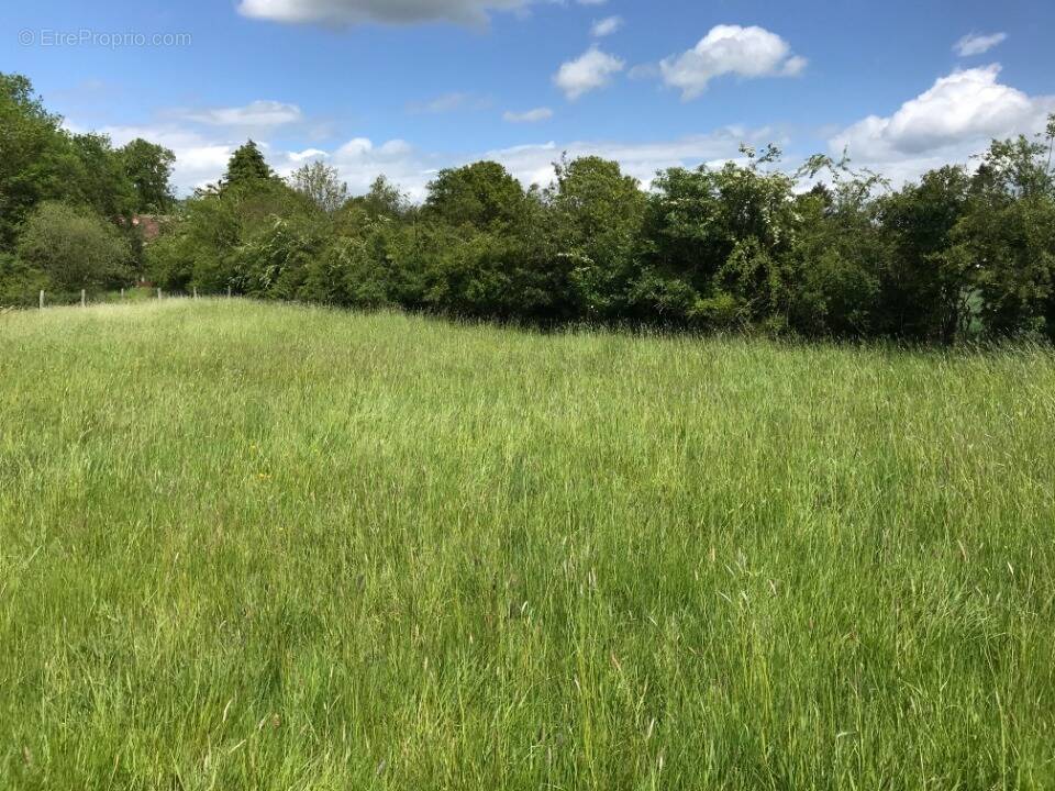 Terrain à ROSNY-SUR-SEINE