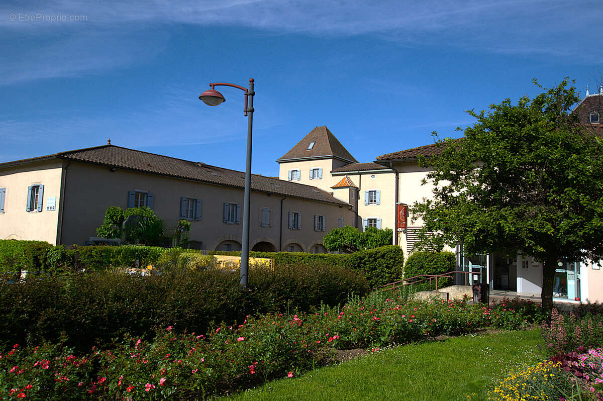 Appartement à JASSANS-RIOTTIER