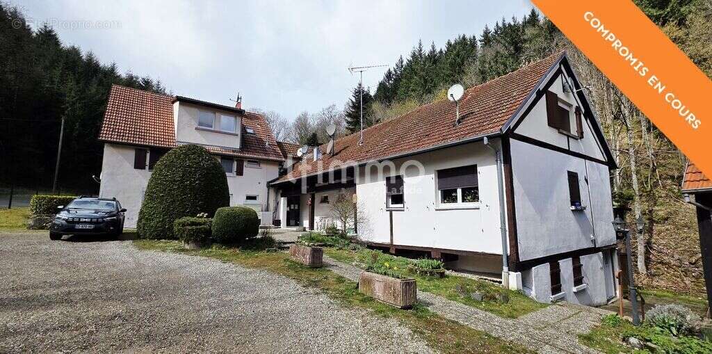 Appartement Hohwald proche Champ du feu – Nature et rentabilité - photo 9