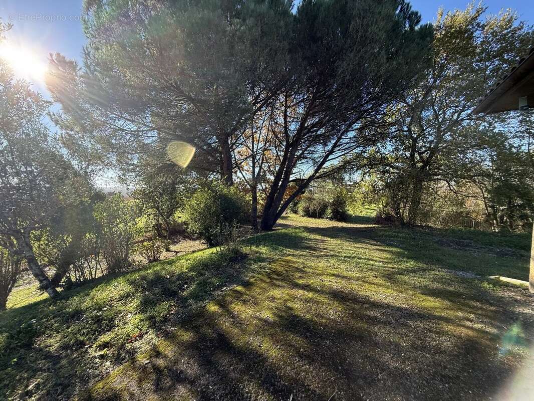 Maison à CASTELNAVET