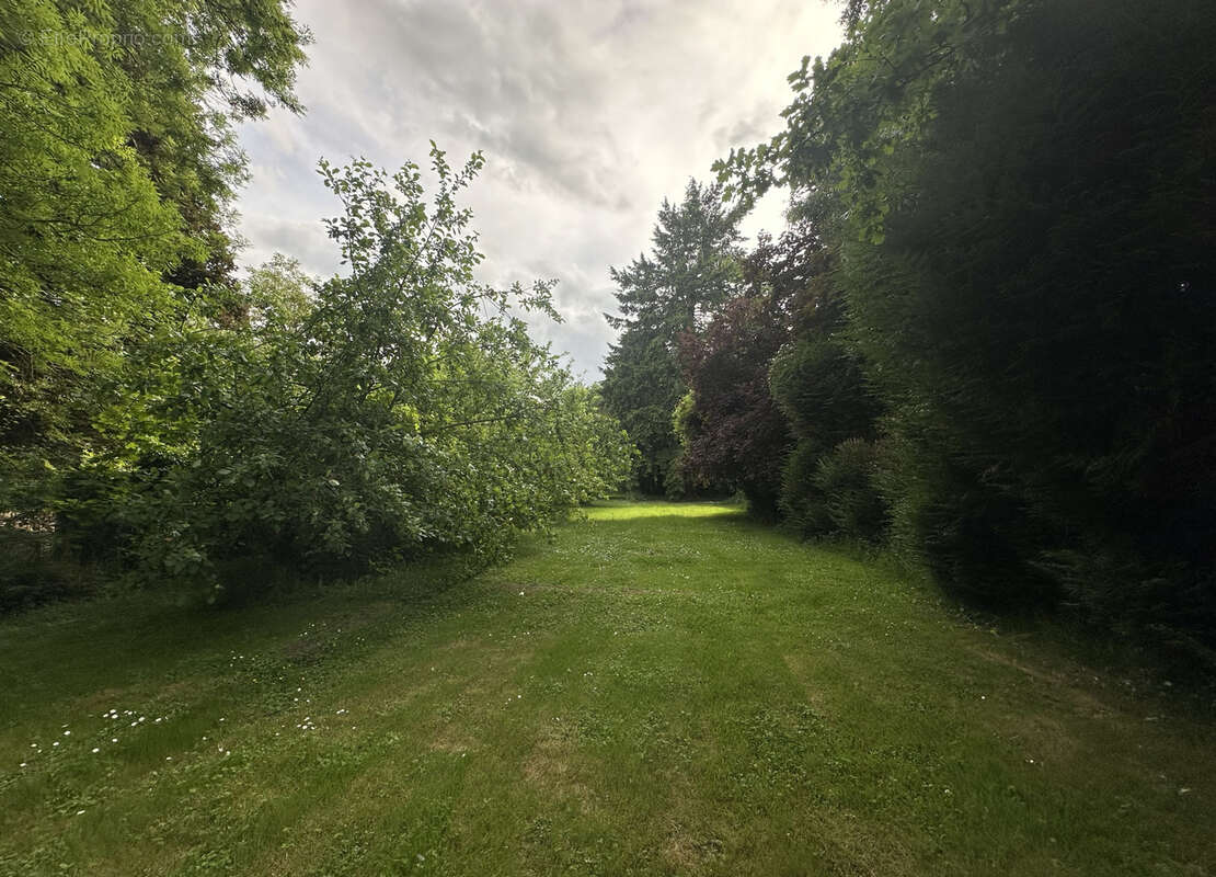 Terrain villiers-sur-morin proche centre ville - photo 2