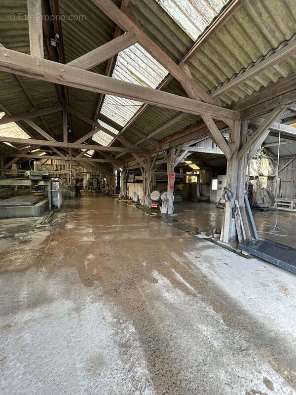 Commerce à SAINT-GERMAIN-EN-COGLES