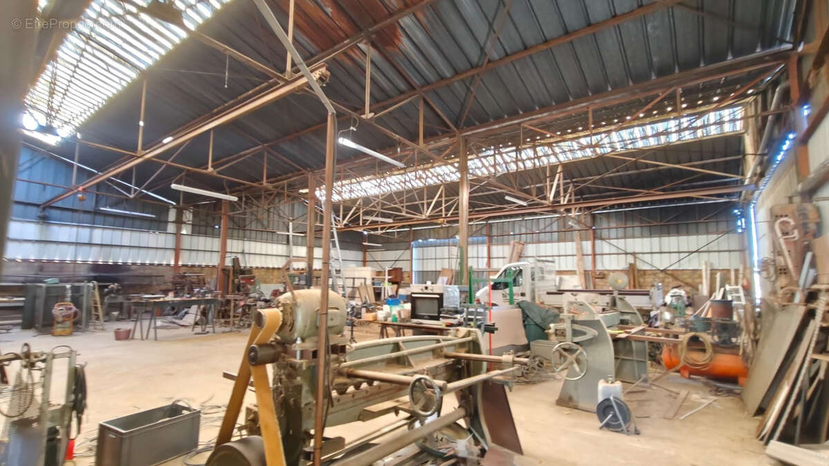 Proche Limoux - Hangar/Atelier de 530m2 environ sur terrain attenant de 1778m2 - photo 5