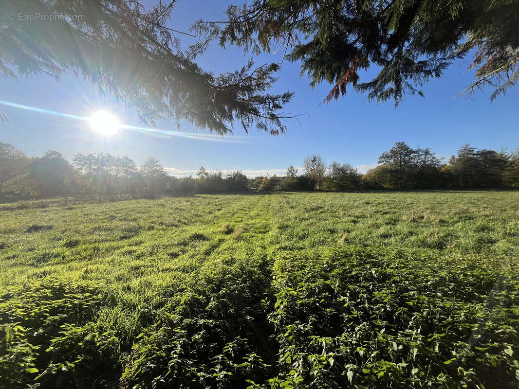 Terrain à AVOISE