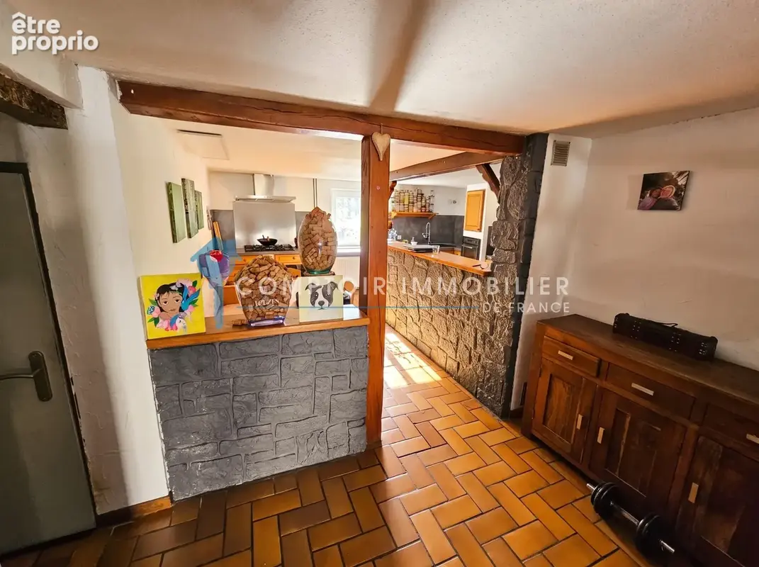 Sarralbe   maison de village avec terrasse et accès direct à la sarre - photo 6